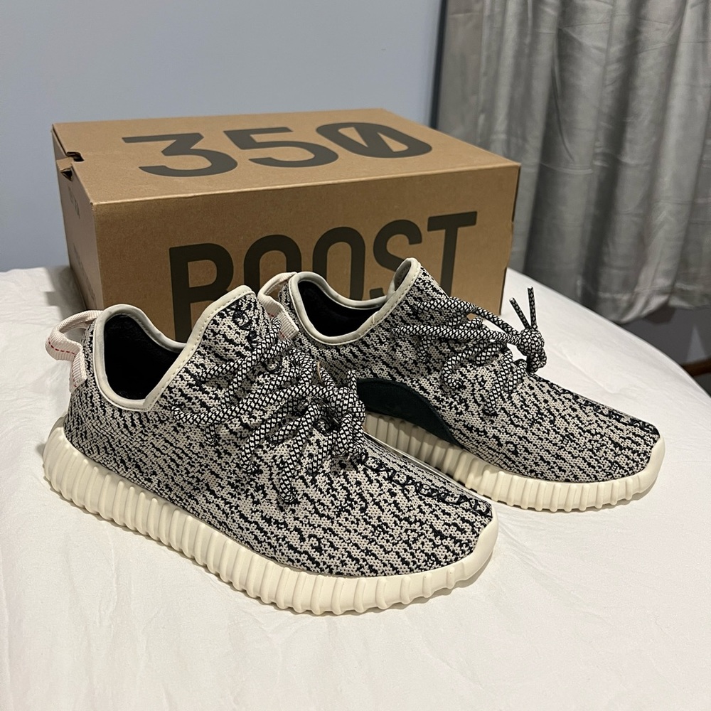 Adidas Yeezy Boost 350 Turtle Sneakers AQ4832 - Brand New In Box